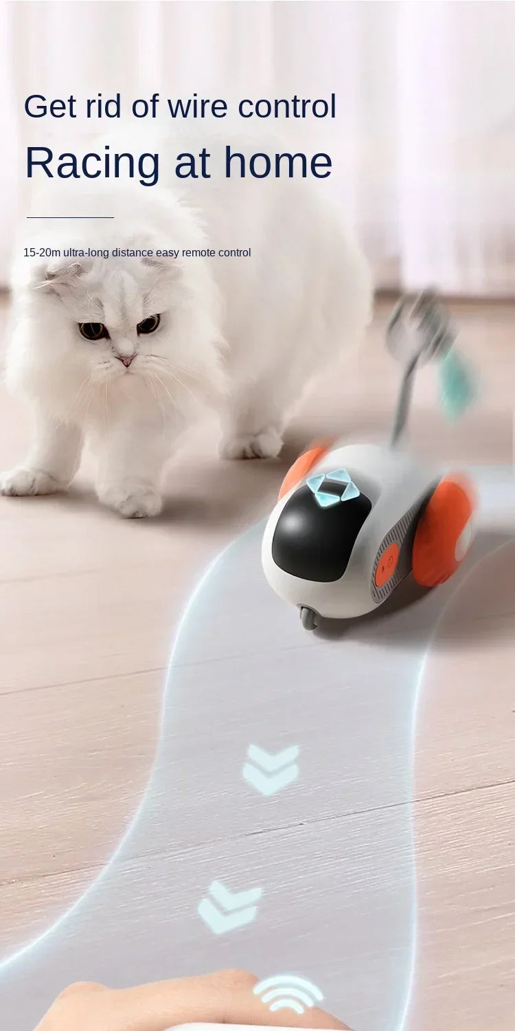 Brinquedos elétricos para gatos no controle remoto